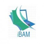 iBAM Services